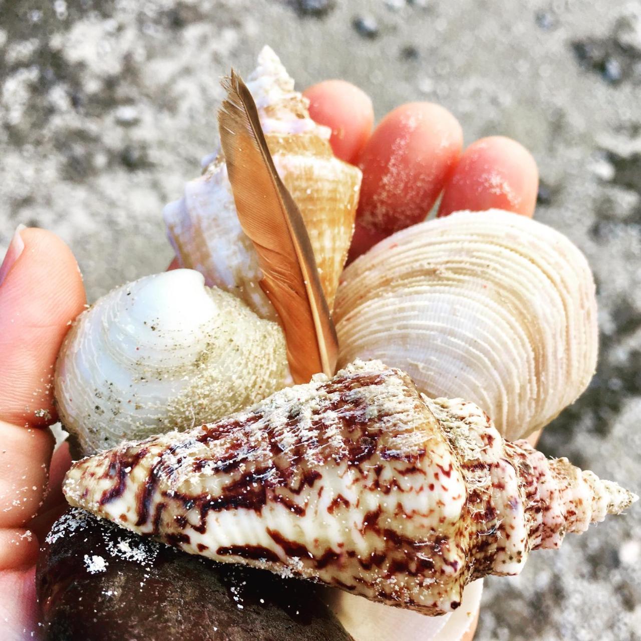 Ocean Tally Upper Bogue Bagian luar foto
