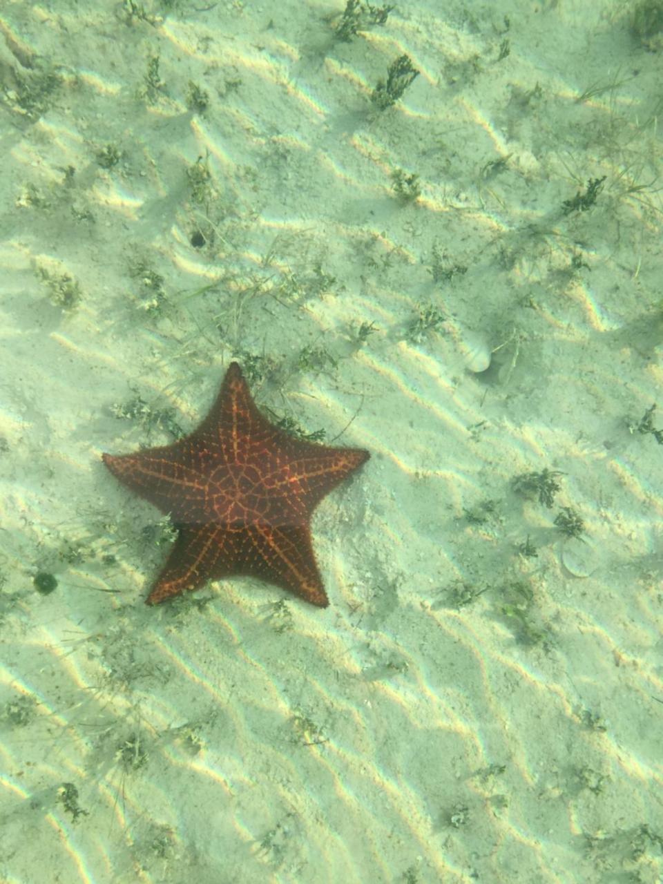 Ocean Tally Upper Bogue Bagian luar foto